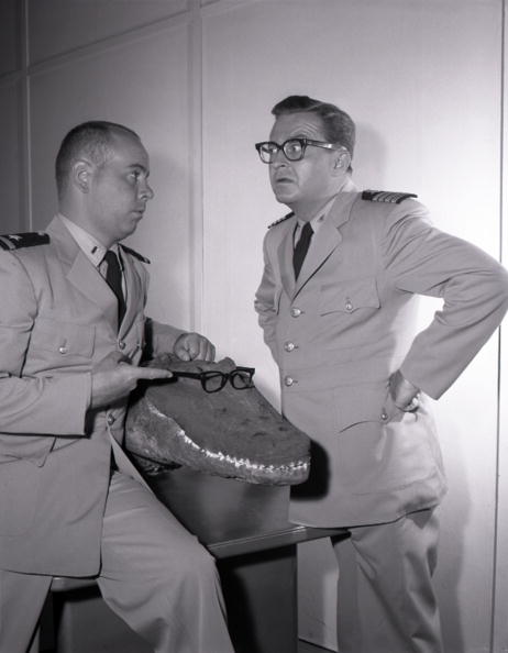 Joe Flynn