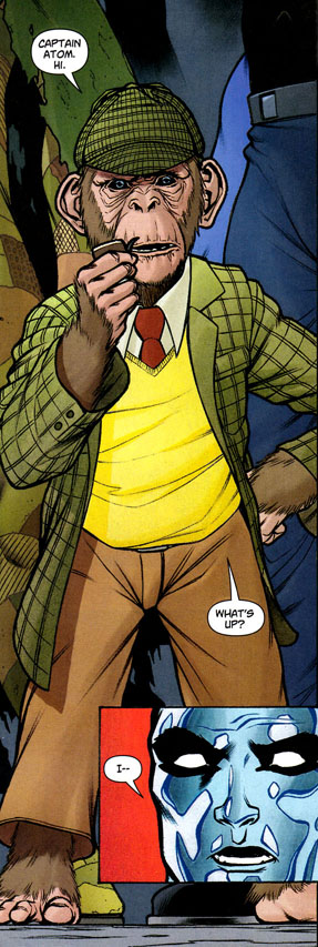 Detective Chimp