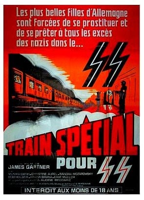 Hitler's Last Train