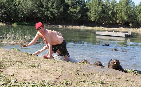 Zombeavers Zombeavers