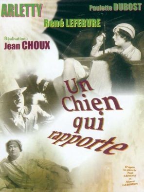Un chien qui rapporte