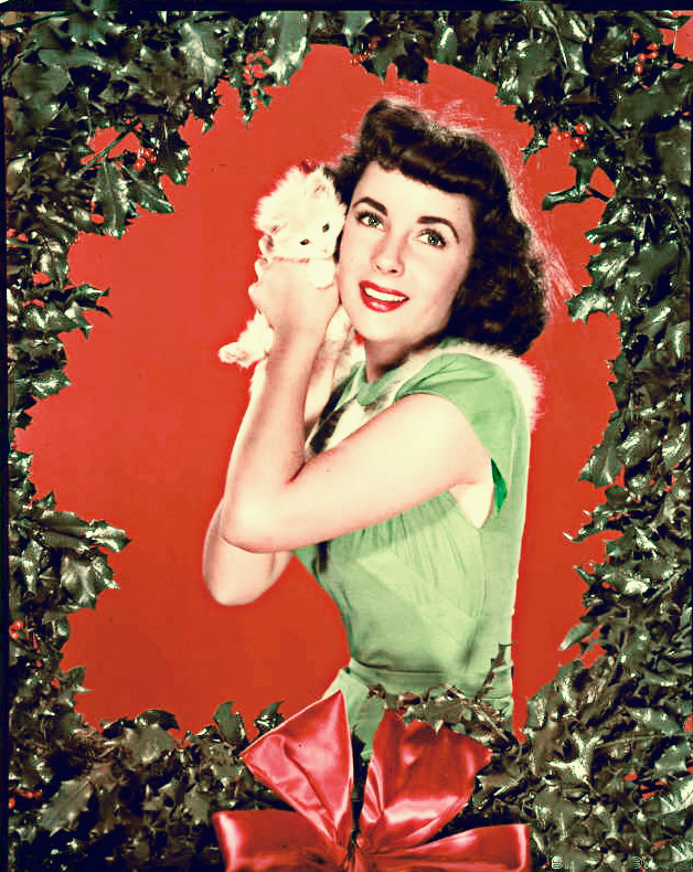 Elizabeth Taylor Elizabeth Taylor