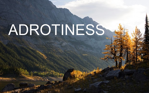 ADROTINESS