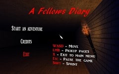 A Fellows Diary