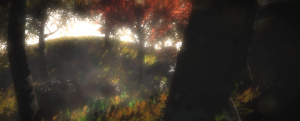 Ashes