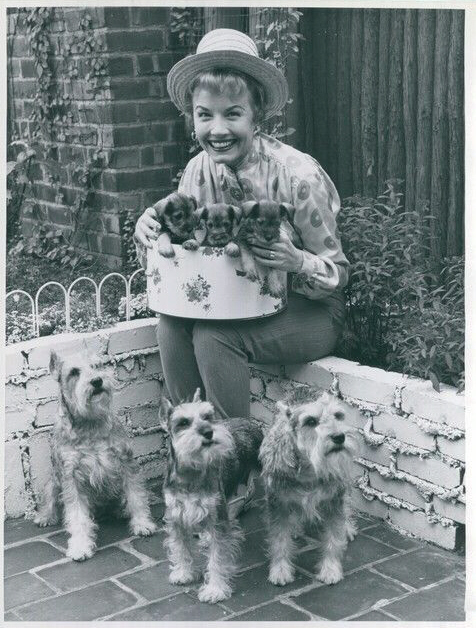 Janet Blair Janet Blair