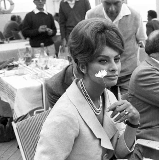 Sophia Loren Sophia Loren