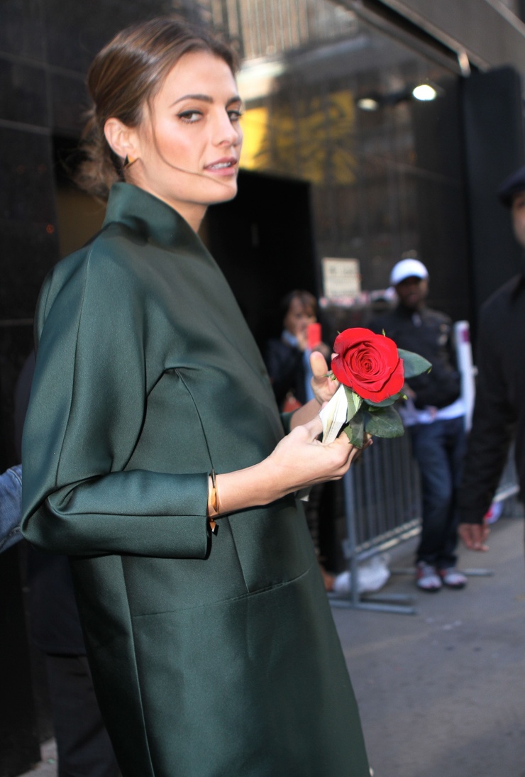 Stana Katic Stana Katic