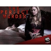 The Perfect Murder