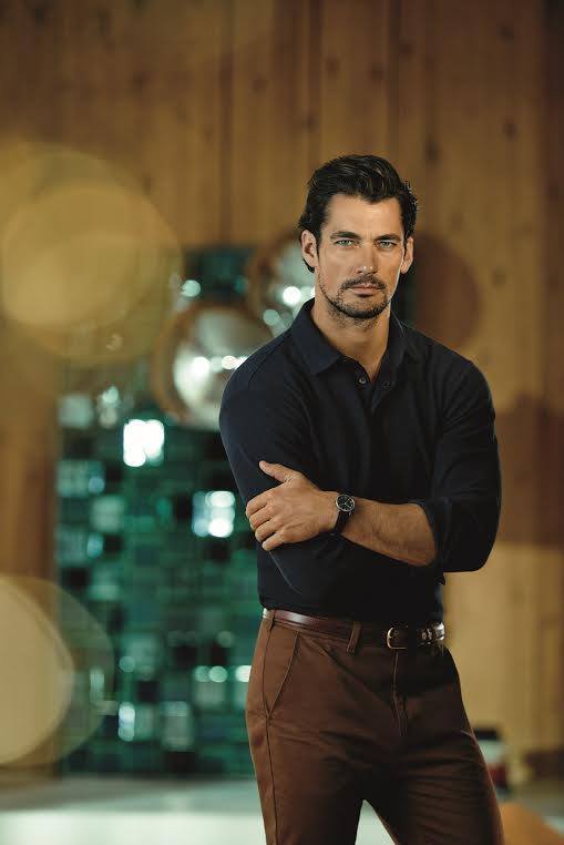 Picture of David Gandy