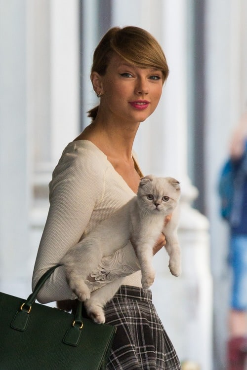 Taylor Swift
