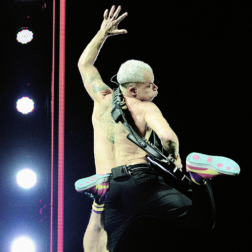 Flea