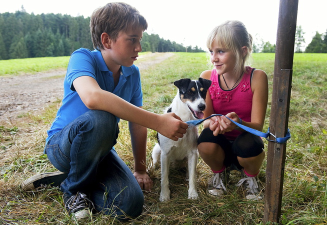 Tiere bis unters Dach