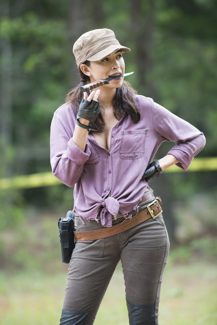 The Walking Dead The Walking Dead