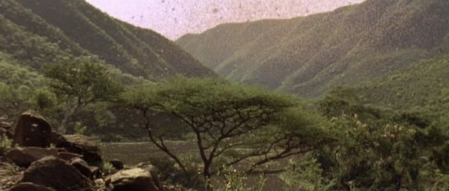 Nowhere in Africa Nowhere in Africa