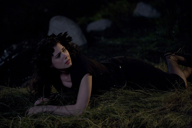 The Black Dahlia The Black Dahlia
