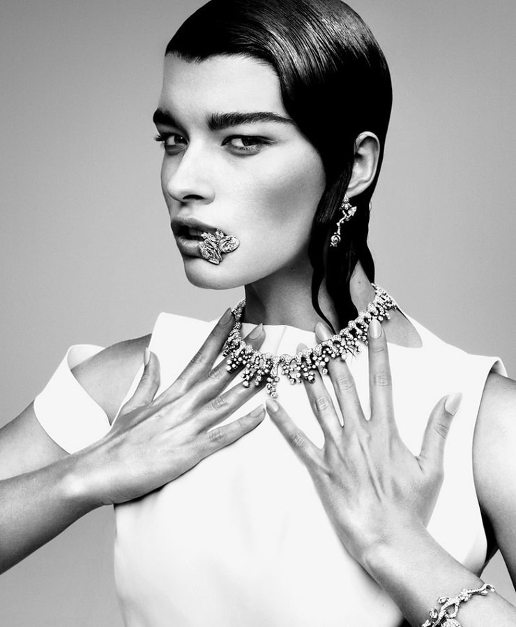 Picture of Crystal Renn