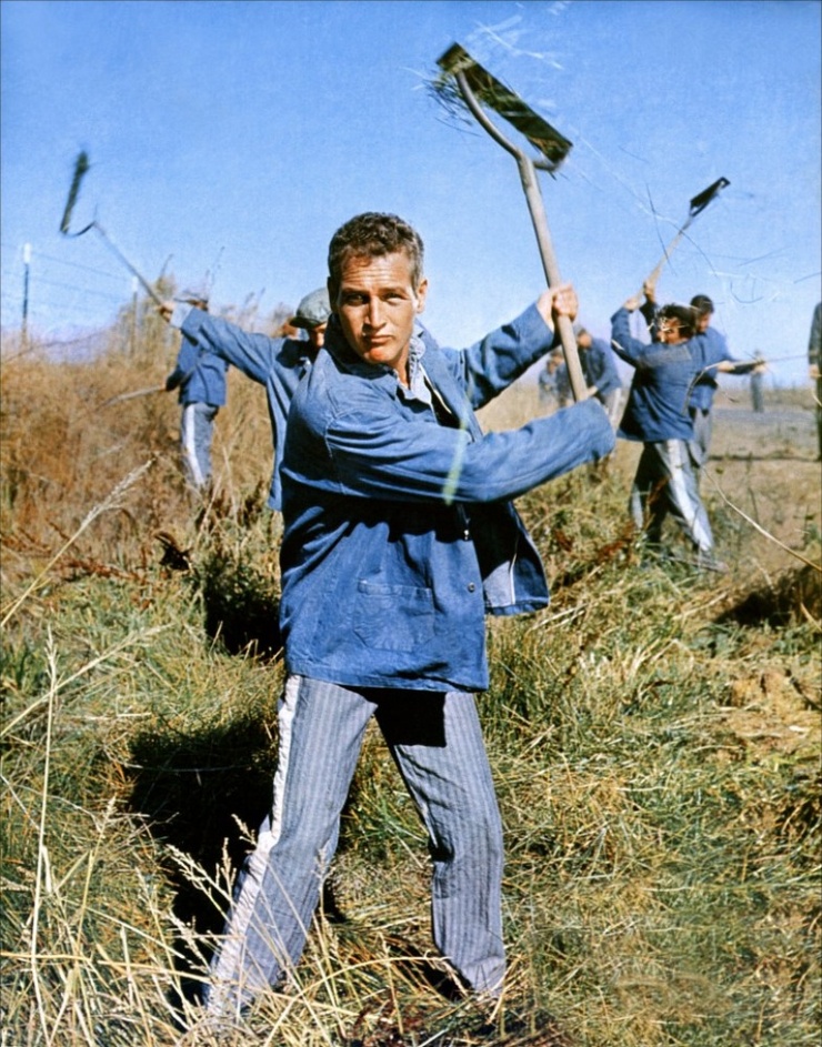 Cool Hand Luke Cool Hand Luke