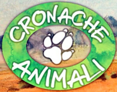 Cronache animali