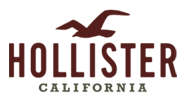 Hollister Co.