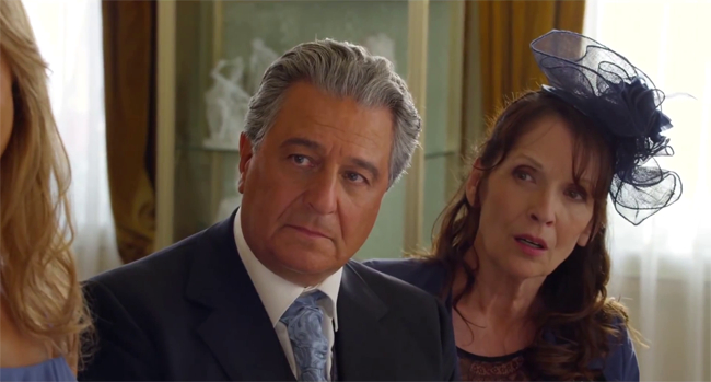 Serial (Bad) Weddings (2014) 