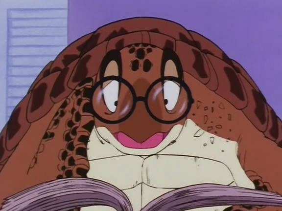 Turtle
