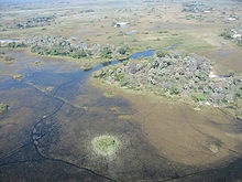 Okavango Delta Okavango Delta