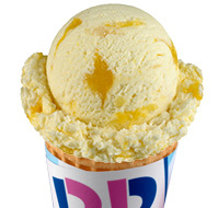 Baskin Robbins