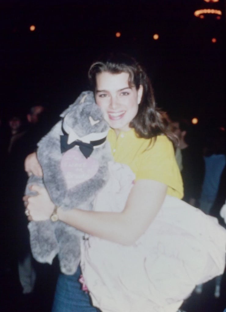 Brooke Shields