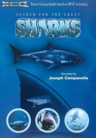 Search For The Great Sharks