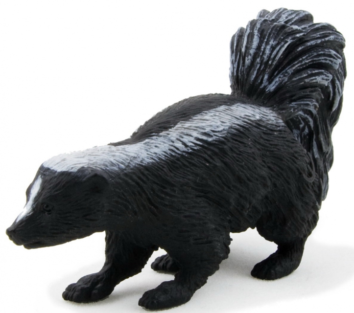 Mojö skunk