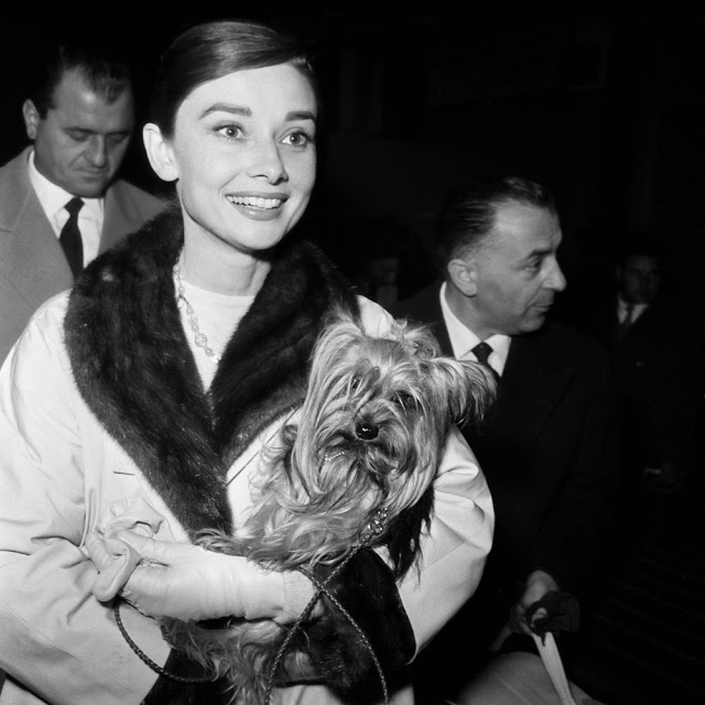 Audrey Hepburn