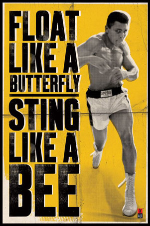 Muhammad Ali Muhammad Ali