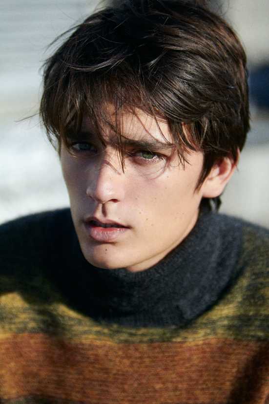 Alain-Fabien Delon