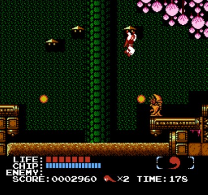 Kabuki: Quantum Fighter