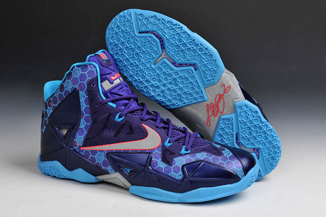 lebron james hornets shoes