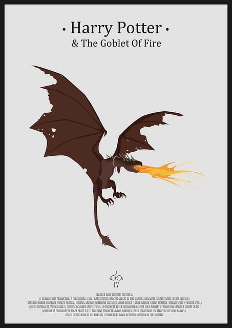 Harry Potter and the Goblet of Fire Harry Potter and the Goblet of Fire