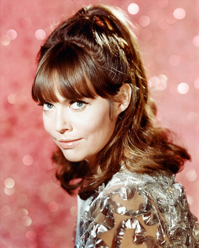 Barbara Feldon Barbara Feldon