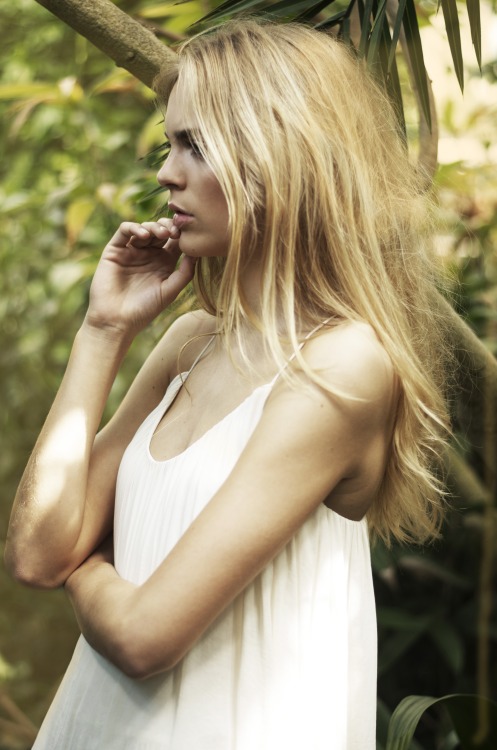 Alberte Wibrand