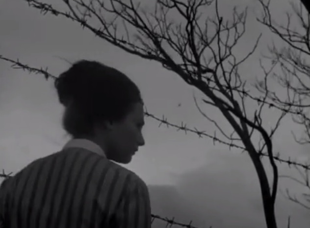 The Peach Thief                                  (1964)