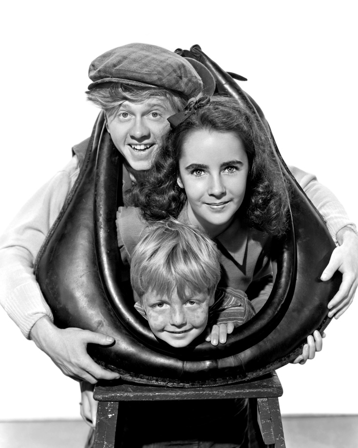 National Velvet National Velvet