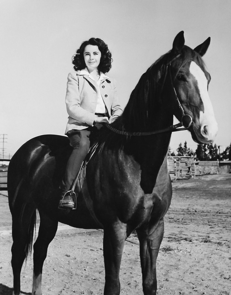 National Velvet National Velvet