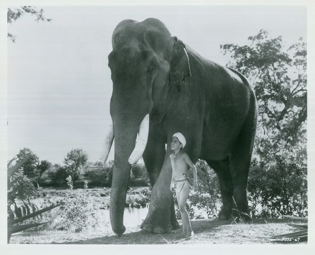 Tarzan Goes to India                                  (1962)