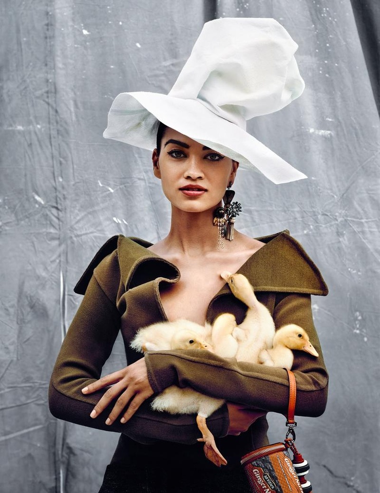 Shanina Shaik