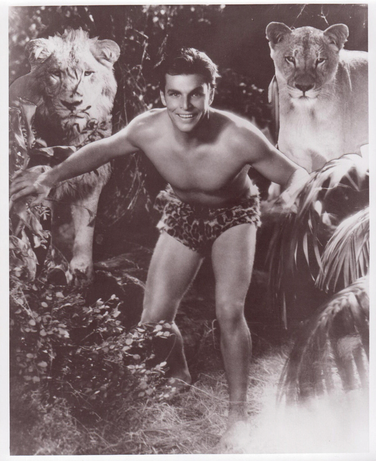 King of the Jungle King of the Jungle