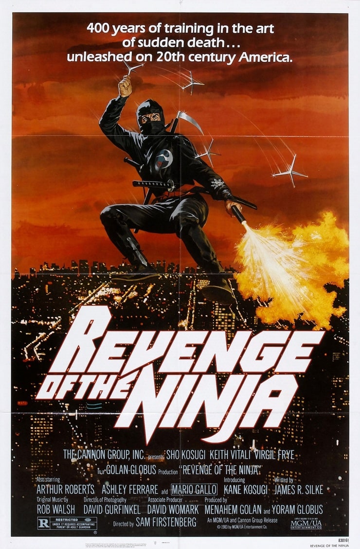 Revenge of the Ninja