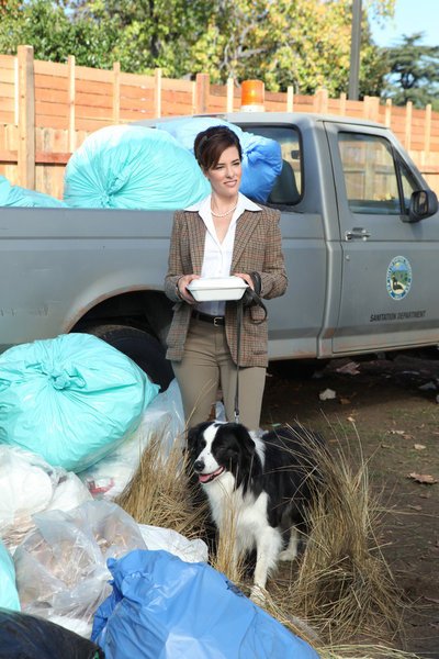 Parks and Recreation