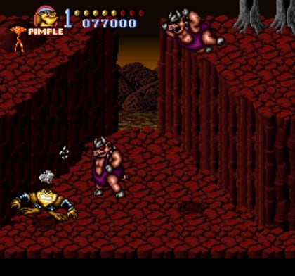 Battletoads In Battlemaniacs