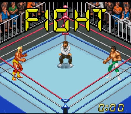 Super Fire Pro Wrestling X