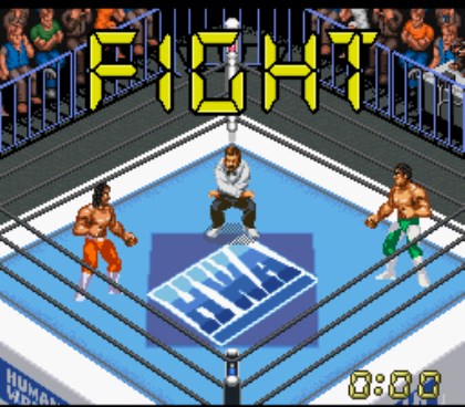 Super Fire Pro Wrestling X Premium
